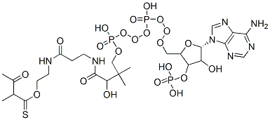 6712-01-2,S-[2-[3-[[4-[[[5-(6-aminopurin-9-yl)-4-hydroxy-3-phosphonooxyoxolan-2-yl]methoxy-hydroxyphosphoryl]oxy-hydroxyphosphoryl]oxy-2-hydroxy-3,3-dimethylbutanoyl]amino]propanoylamino]ethyl] 2-methyl-3-oxobutanethioate