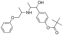 67160-74-1,4-[1-hydroxy-2-[(1-methyl-2-phenoxyethyl)amino]propyl]phenyl pivalate