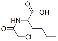 67206-26-2,CHLOROACETYL-DL-NORLEUCINE