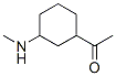67654-10-8,Ethanone, 1-[3-(methylamino)cyclohexyl]- (9CI)