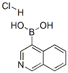 677702-23-7,ISOQUINOLINE-4-BORONIC ACID HYDROCHLORIDE