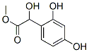 67828-37-9,methyl 2,4-dihydroxyphenylglycolate