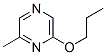 67845-28-7,2-METHYL-6-PROPOXYPYRAZINE