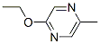 67845-34-5,2-ethoxy-5-methylpyrazine