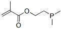 67905-47-9,2-(dimethylphosphino)ethyl methacrylate