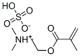 67939-26-8,[2-(methacryloyloxy)ethyl]dimethylammonium hydrogen sulphate