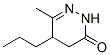 679405-97-1,3(2H)-Pyridazinone, 4,5-dihydro-6-methyl-5-propyl- (9CI)