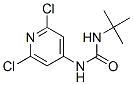 680213-57-4,N-(TERT-BUTYL)-N'-(2,6-DICHLORO-4-PYRIDYL)UREA