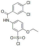 680617-90-7,5-(3,4-DICHLORO-BENZOYLAMINO)-2-ETHOXY-BENZENESULFONYL CHLORIDE
