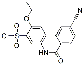680618-02-4,5-(4-CYANO-BENZOYLAMINO)-2-ETHOXY-BENZENESULFONYL CHLORIDE