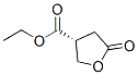681179-33-9,3-Furancarboxylicacid,tetrahydro-5-oxo-,ethylester,(3R)-(9CI)