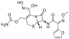 68401-81-0,Ceftizoxime