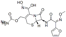 68401-82-1,Ceftizoxime sodium