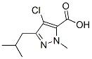 685513-49-9,4-CHLORO-1-METHYL-3-(2-METHYLPROPYL)-1H-PYRAZOLE-5-CARBOXYLIC ACID