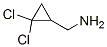 68618-71-3,(2,2-DICHLOROCYCLOPROPYL)METHYLAMINE