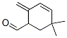 691012-58-5,3-Cyclohexene-1-carboxaldehyde, 5,5-dimethyl-2-methylene- (9CI)