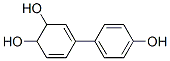 69432-59-3,3,5-Cyclohexadiene-1,2-diol, 4-(4-hydroxyphenyl)- (9CI)