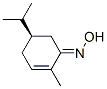 80040-95-5,2-Cyclohexen-1-one,2-methyl-5-(1-methylethyl)-,oxime,(5R)-(9CI)