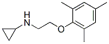 801150-52-7,Cyclopropylamine, N-[2-(mesityloxy)ethyl]- (8CI)