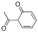 80753-89-5,2,4-Cyclohexadien-1-one, 6-acetyl- (9CI)