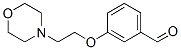 81068-26-0,3-(2-MORPHOLIN-4-YLETHOXY)BENZALDEHYDE