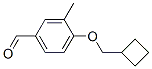 820237-05-6,Benzaldehyde, 4-(cyclobutylmethoxy)-3-methyl- (9CI)
