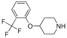 824390-04-7,4-[2-(Trifluoromethyl)phenoxy]piperidine