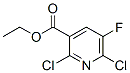 82671-03-2,ethyl 2,6-dichloro-5-fluoropyridine-3-carboxylate
