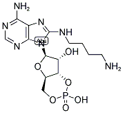 82927-68-2,8-(4-AMINOBUTYL) AMINOADENOSINE-3',5'-CYCLIC MONOPHOSPHATE