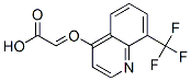845264-81-5,(8-Trifluoromethyl-quinolin- 4-yloxy)-acetic acid