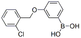 845551-45-3,3-(2'-CHLOROBENZYLOXY)PHENYLBORONIC ACID