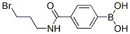 850567-41-8,N-(3-BROMOPROPYL) 4-BORONOBENZAMIDE