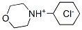 85117-89-1,4-cyclohexylmorpholinium chloride