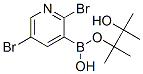 852228-17-2,2,5-DIBROMOPYRIDINE-3-BORONIC ACID PINACOL ESTER