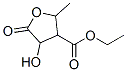 855645-24-8,ETHYL 4-HYDROXY-2-METHYL-5-OXOTETRAHYDROFURAN-3-CARBOXYLATE