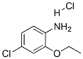 858855-49-9,4-CHLORO-2-ETHOXYANILINE, HCL