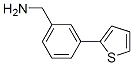 859850-86-5,(3-THIEN-2-YLPHENYL)METHYLAMINE