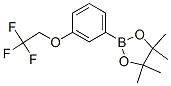 864754-15-4,4,4,5,5-TETRAMETHYL-2-[3-(2,2,2-TRIFLUORO-ETHOXY)-PHENYL]-[1,3,2]DIOXABOROLANE