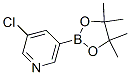 865186-94-3,3-CHLORO-5-(4,4,5,5-TETRAMETHYL-[1,3,2]DIOXABOROLAN-2-YL)PYRIDINE