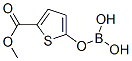 876189-21-8,THIOPHENE-2-CARBOXYLIC ACID METHYL ESTER-5-BORIC ACID
