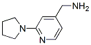 876316-38-0,(2-PYRROLIDIN-1-YLPYRID-4-YL)METHYLAMINE