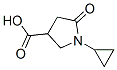 876716-43-7,1-CYCLOPROPYL-5-OXOPYRROLIDINE-3-CARBOXYLIC ACID