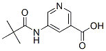 879326-77-9,5-(2,2-DIMETHYL-PROPIONYLAMINO)-NICOTINIC ACID