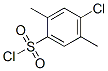 88-49-3,4-CHLORO-2,5-DIMETHYLBENZENESULFONYL CHLORIDE