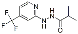 883010-71-7,PROPANOIC ACID, 2-METHYL-, 2-[4-(TRIFLUOROMETHYL)-2-PYRIDINYL]HYDRAZIDE