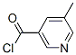 884494-95-5,5-METHYLNICOTINOYL CHLORIDE