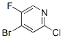 884495-10-7,4-BROMO-2-CHLORO-5-FLUOROPYRIDINE