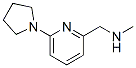 884507-14-6,N-Methyl-N-[(6-pyrrolidin-1-ylpyridin-2-yl)methyl]amine