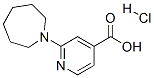 885277-05-4,2-AZEPAN-1-YL-ISONICOTINIC ACID HYDROCHLORIDE