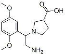 886363-82-2,1-[2-AMINO-1-(2,5-DIMETHOXY-PHENYL)-ETHYL]-PYRROLIDINE-3-CARBOXYLIC ACID